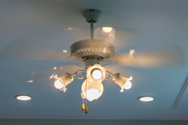 Elegant Ceiling Fan